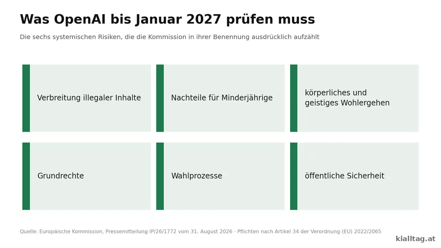 Sechs Felder mit den systemischen Risiken aus der Benennung: Verbreitung illegaler Inhalte, Nachteile für Minderjährige, körperliches und geistiges Wohlergehen, Grundrechte, Wahlprozesse, öffentliche Sicherheit