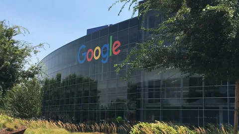 Glasfassade der Google-Zentrale in Mountain View mit dem bunten Google-Schriftzug, davor Gräser und Bäume